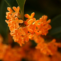 ��ռ����ѹ�ڷ�������Ʈ������㡣