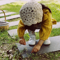 ��ɹ�������¡�+����� ����