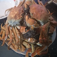 �����ͥ�۲�