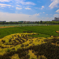 �������һ�죬������Ȼͨ͸����һ��ˬ���˵ã�