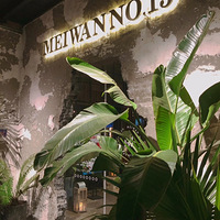 �������ʲô��÷��15��