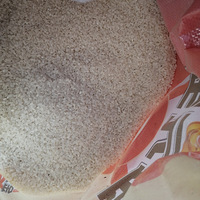 ��԰��װ����Ͳ���ɫ�����ļ�Ѽ��