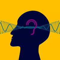 ���������ж�����һ��Ҫ�˽���ĵ�