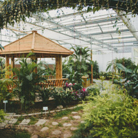 �쵼���׶�԰-���ϻ���������