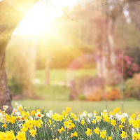 ��ѩ԰ | ����������£�������������������ӳ��Ȥ