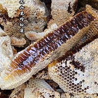 �����̲�-������