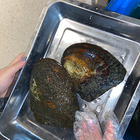 ���鿪������