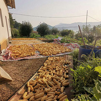 ��������ĺúó�