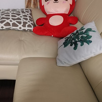 ������װ�α���Ҵ�������show��װ��+�ʺ��Լ��ĲŽк�