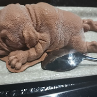 һ�Ҳ�����ԡ���е���ʳ