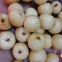 �������������