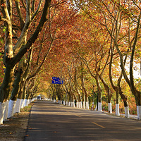 ͩ��ʮ����ͩ