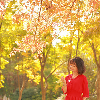 ��Ҷ���ˣ��ʺ�����^_^