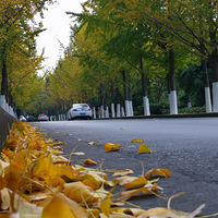 ����·��