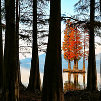 �������ϵĺ�ɼ��