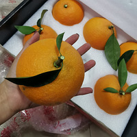 ǿ�ƺóԸ����Լ�ӿȪ����