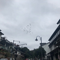 ��ĩʡ�ǹ��