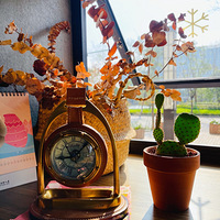 �ѵõĺ�������Ϊ�β���������������