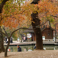 ������ƽɽ