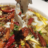 ��ʮ������ʳ�ֲݡ��˰۰�̫�������