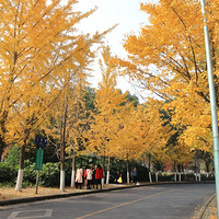 ����·   2018.11.29.