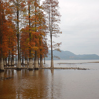 ��Ҧ��������