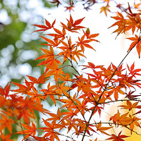 ����·����Ԫ·Ӧ�øĳ�����·