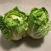 ��ô������ô��