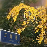 ��������·����������������ʱ��ԶԶ��ȥ��һ��Ũī�زʵ��ͻ���