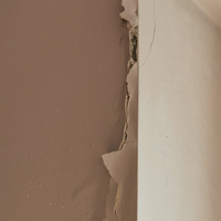 ��ʢ��԰��ǽ��Ҫά��