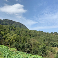 ��һ���Լ��ĵ�������