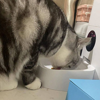 �����ֹ�|���ˮ�ܱ�����������ֵ�á�+�����Զ�Ͷʳ��