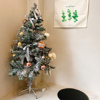 ������ֲ���ʳ��+ins��brunch����