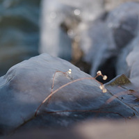 ������е�����