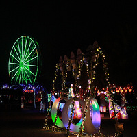 �����廨��չ