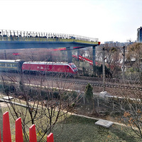 ����һ������ļ��š�