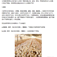 �ձ�С��������ɢ����������ɫ�ͱ�𷽷���������ƪ