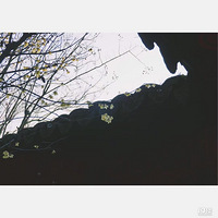 �������ѡ���⣬��ôѡ�����ź���