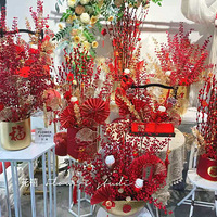 ���õ�����������