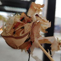 ��2���ֲ���ʳ����С�Ի���ҪȥԽ�㼯��