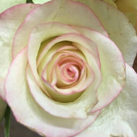 ������װ�α���Ҵ�����������װ�硱+����ӵ�ţ������ܰ