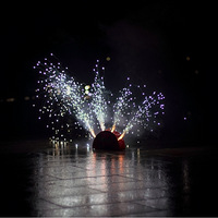 �̻�Ѥ���Ķ���