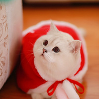 �����ģ�������ɫ����ϲ��ϲ�죡