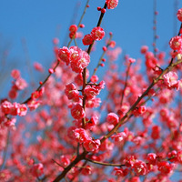 �����棬����÷�����Ѿ�������