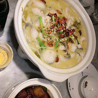 ��2���ֲ���ʳ��С��԰�»ղ�