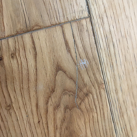 ĳ�ذ�һ���ڣ���������������������������