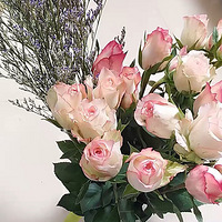 ������װ�α���Ҵ�����������װ�硱+������Ҫţ