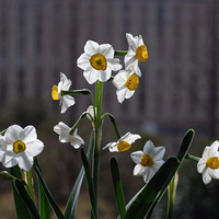 ������װ�α���Ҵ������������Ļ���֮ˮ�ɻ�