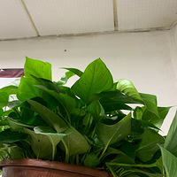 ������װ�α���Ҵ��������������Ļ�����+���ܺͲ�֪��