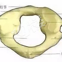 ��׵��7�Σ�ÿ�β��ö�����ֲ�ͬ�����⣡